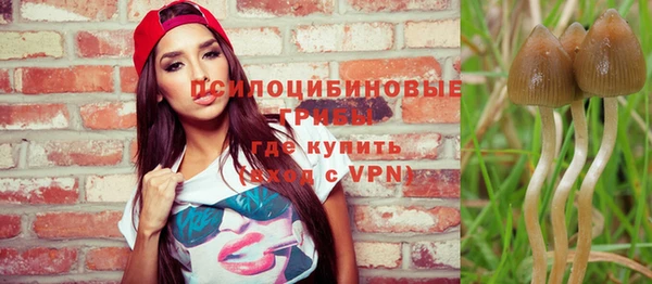 синтетический гашиш Надым