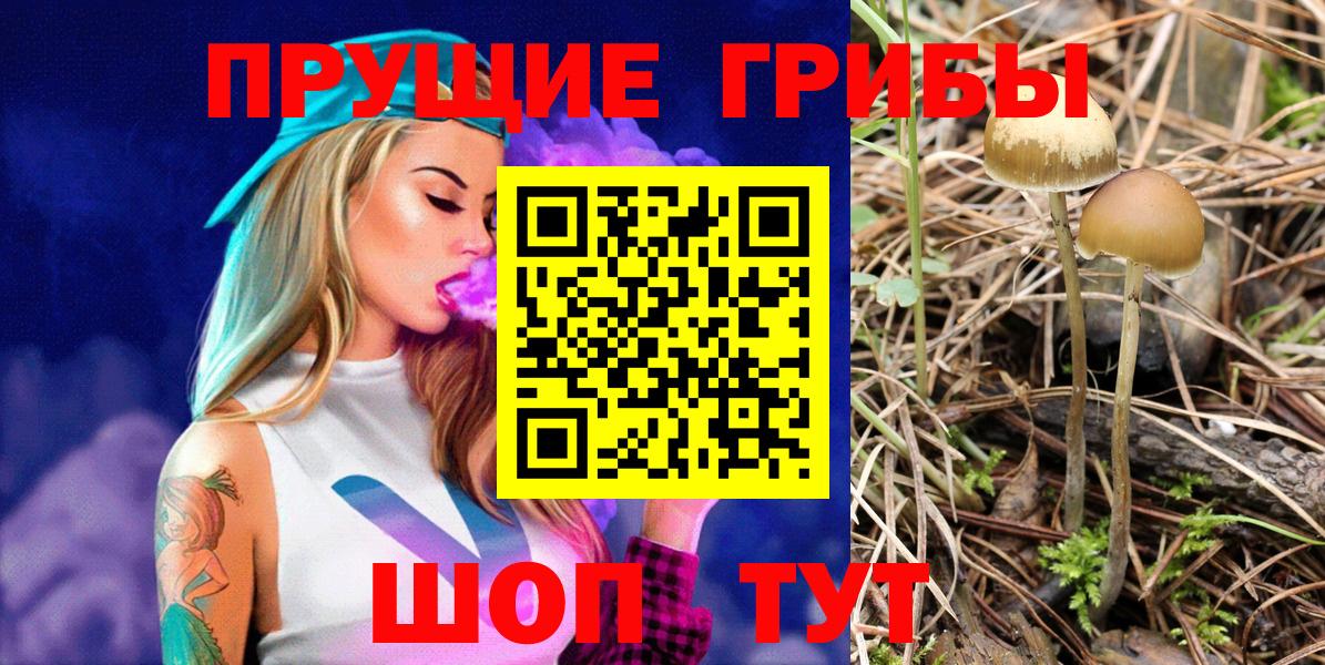 Галлюциногенные грибы GOLDEN TEACHER  Псилоцибиновые грибы GOLDEN TEACHER  Вход с VPN  Чистополь 